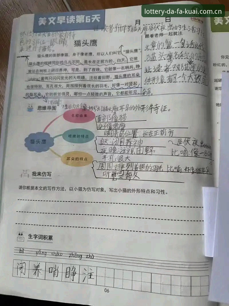 资深用户亲测：快三软件哪个好常见问题解析与实战心得